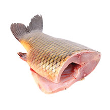 Pontytörzs 0-4% glazúr  