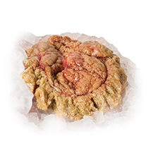 FH Ponty ikra fagyasztott vcs. egalizált  