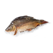 FH Ponty tisztított v.cs  